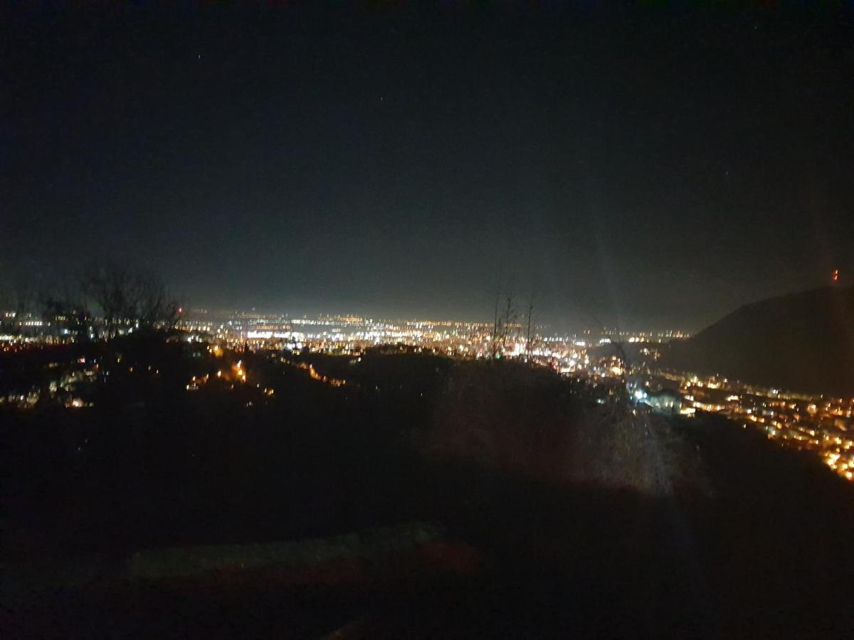 Vila Dionysos Brasov Ghimbav Экстерьер фото